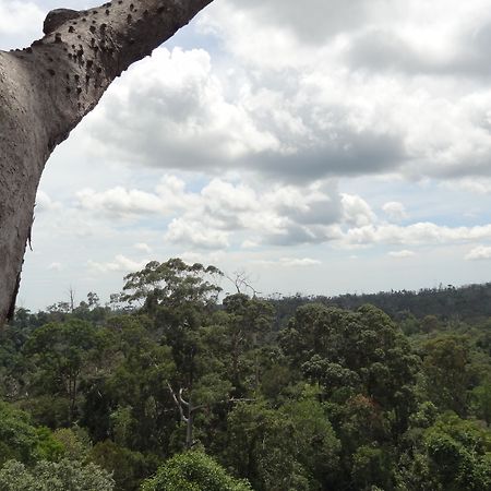 Samboja Lodge Balikpapan  Luaran gambar