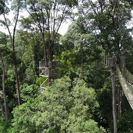 Samboja Lodge Balikpapan  Luaran gambar