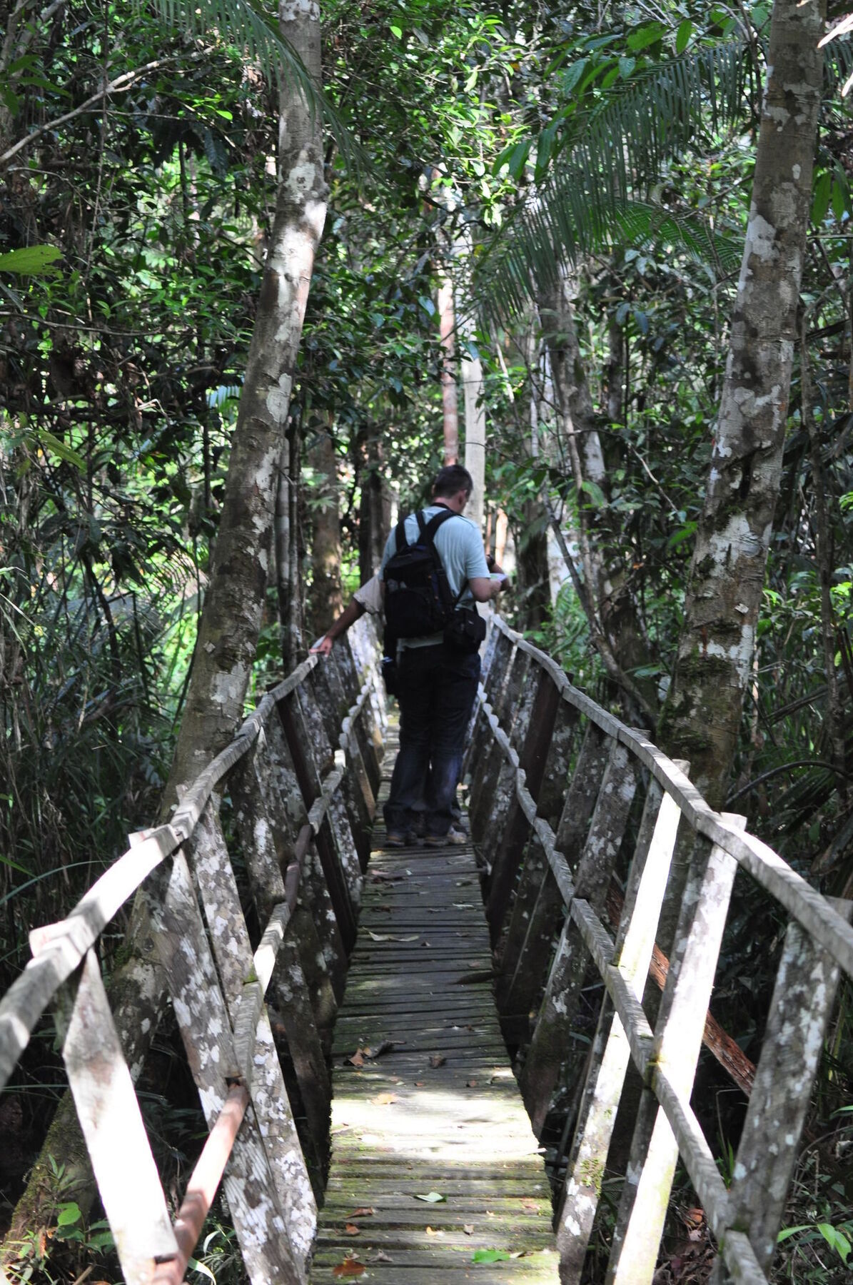 Samboja Lodge Balikpapan  Luaran gambar