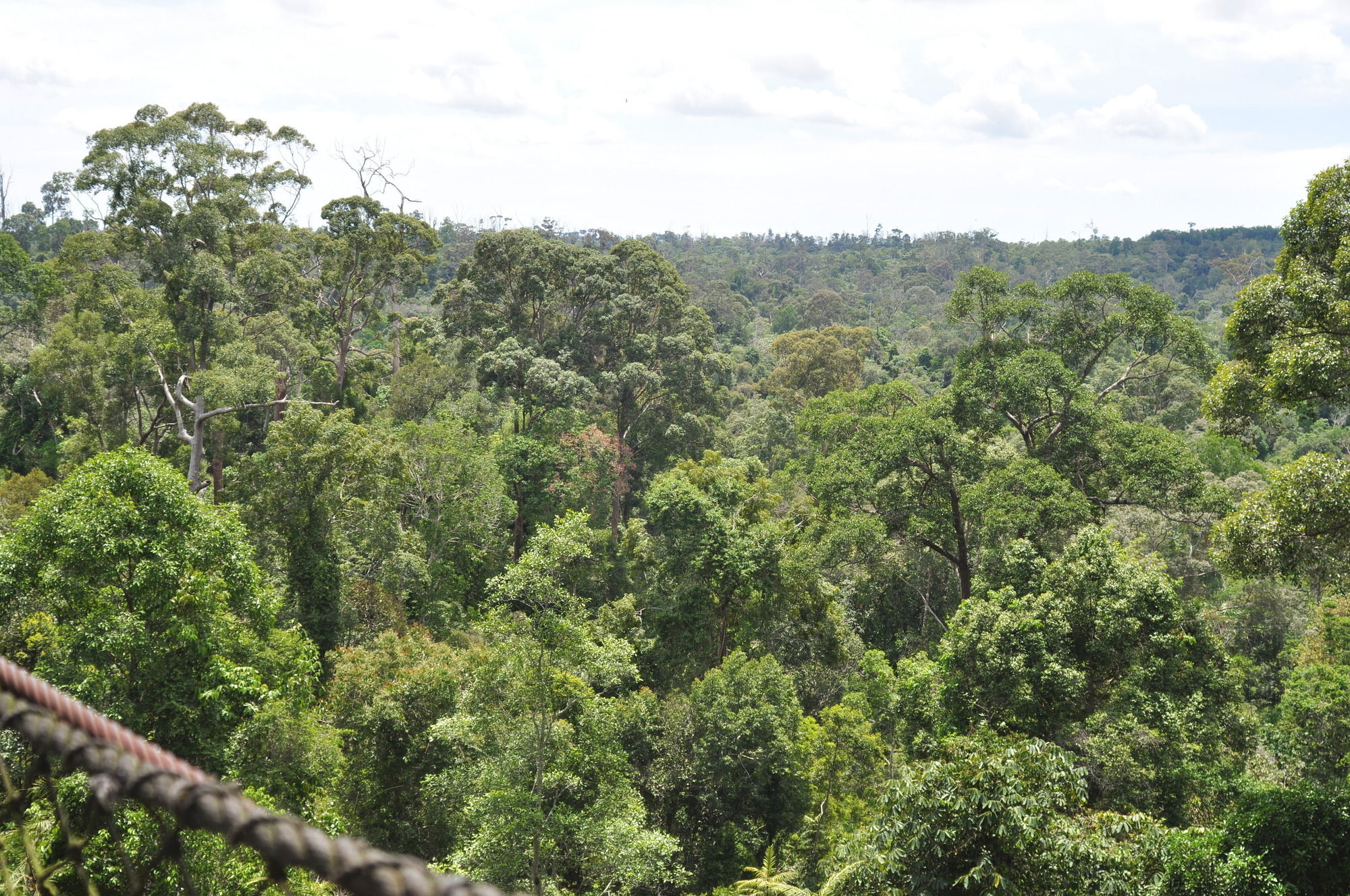 Samboja Lodge Balikpapan  Luaran gambar