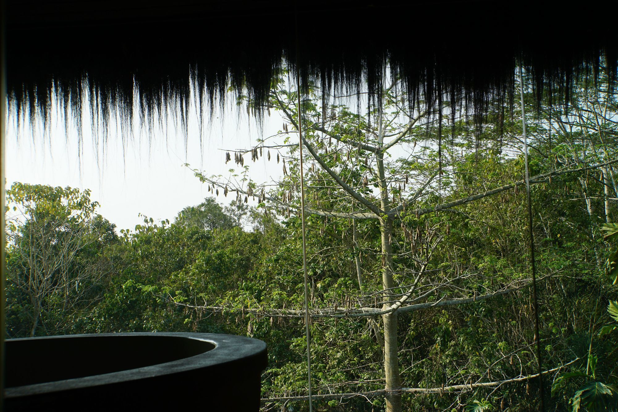 Samboja Lodge Balikpapan  Luaran gambar