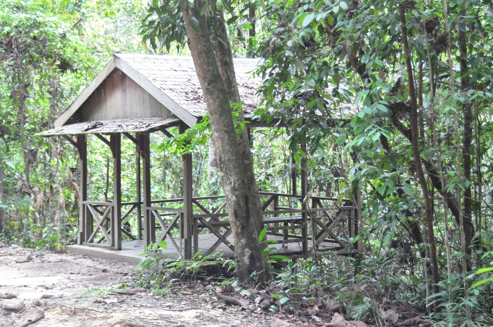 Samboja Lodge Balikpapan  Luaran gambar