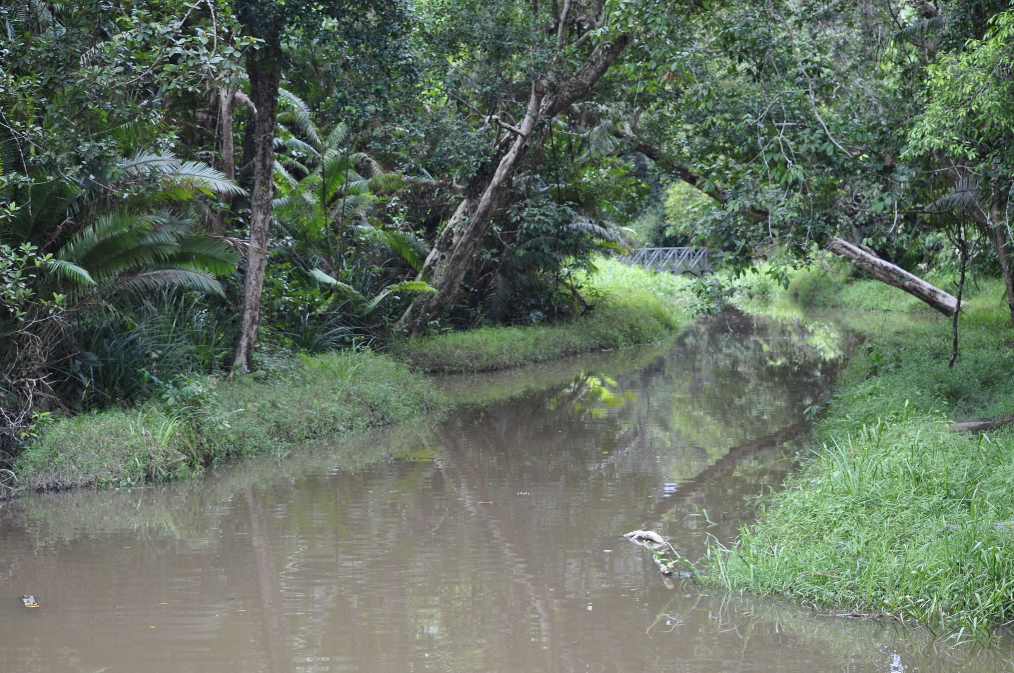 Samboja Lodge Balikpapan  Luaran gambar