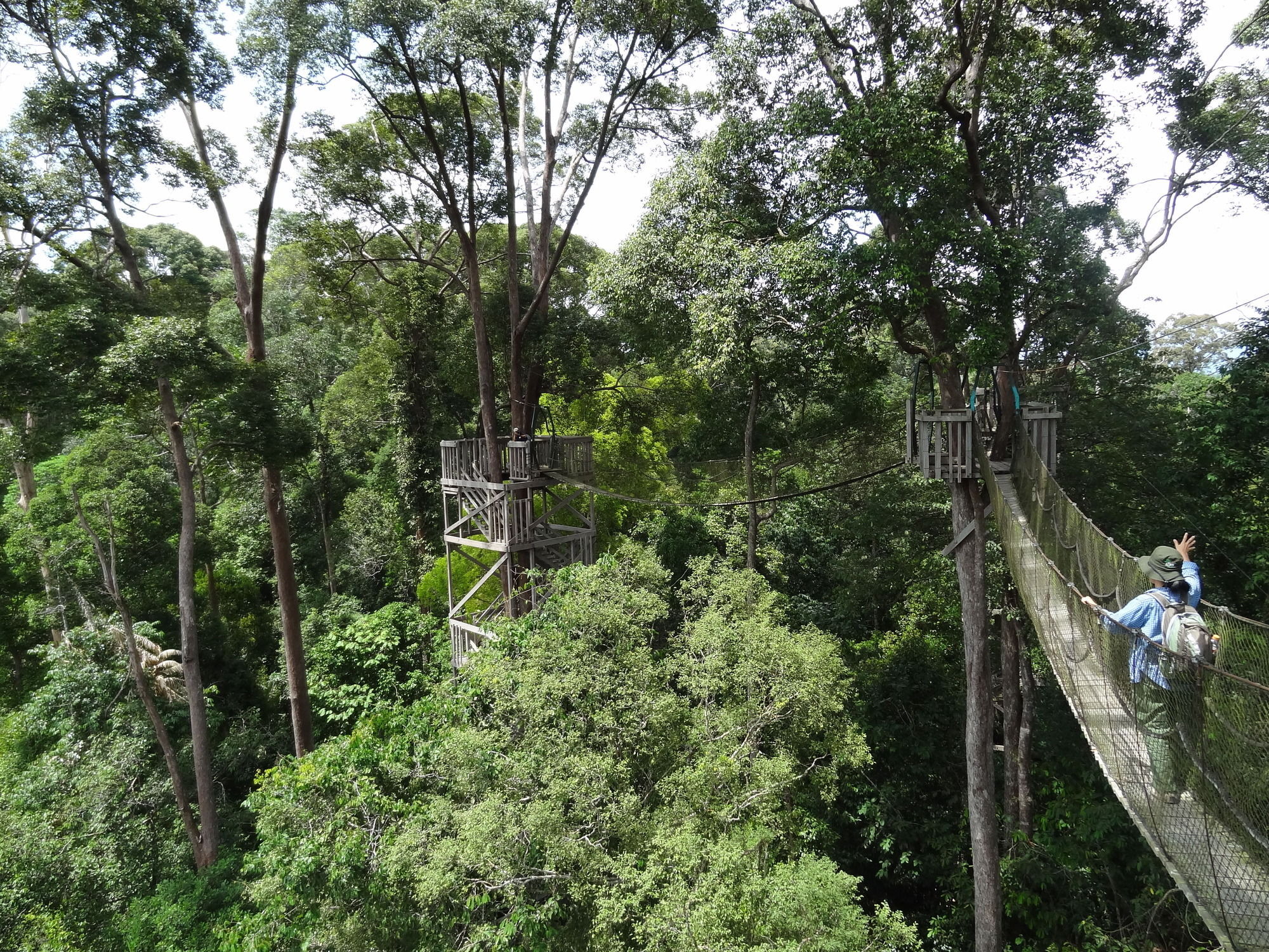 Samboja Lodge Balikpapan  Luaran gambar