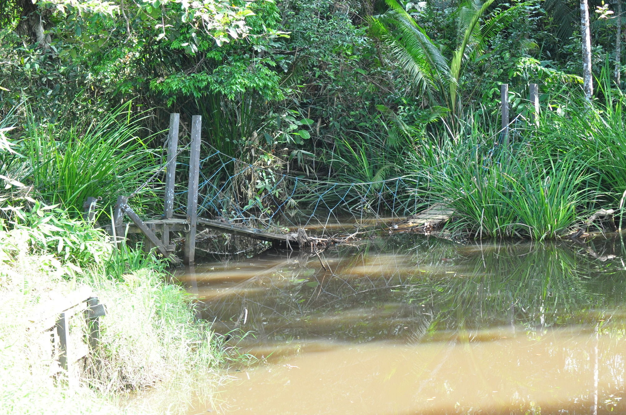 Samboja Lodge Balikpapan  Luaran gambar