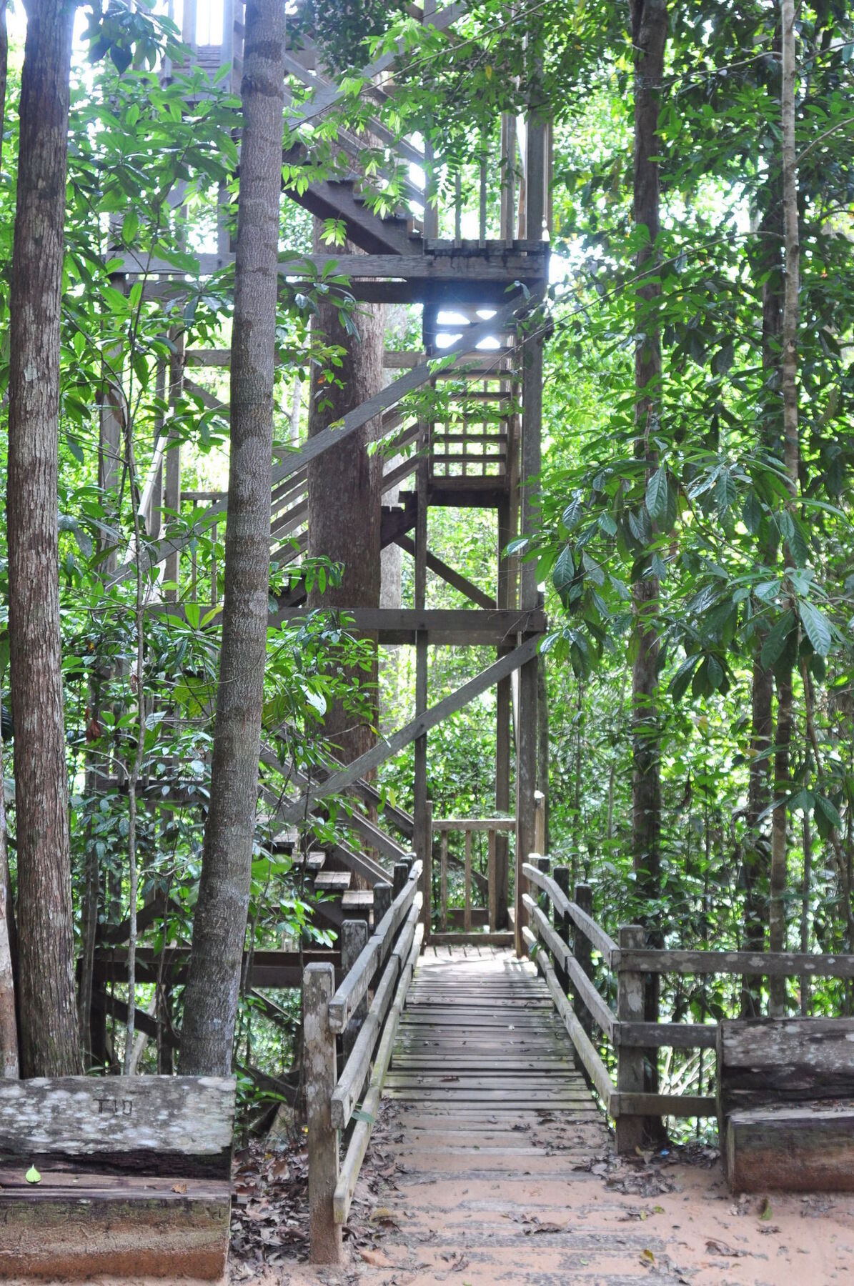 Samboja Lodge Balikpapan  Luaran gambar